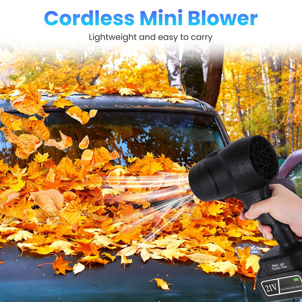 TurboLeaf Cordless Blower